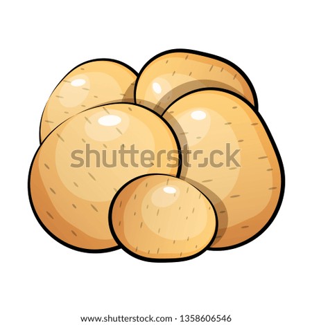 Potatoes vector illustration. Isolated white background. 