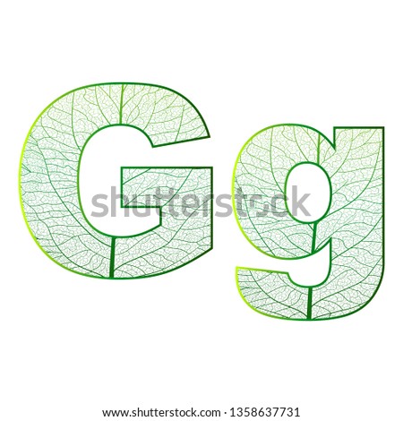 Set of eco Latin  letters texture leaf vein. Vector illustration. EPS 10.