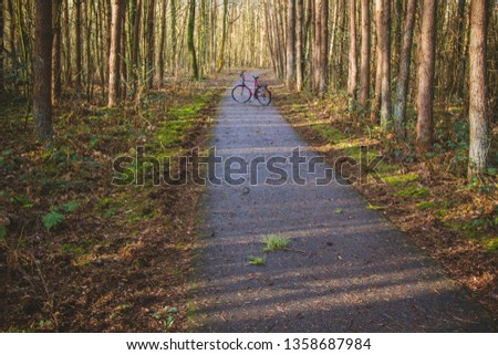 Asphalt bike path in the autumn forest with a bicycle standing on it, the Netherlands.