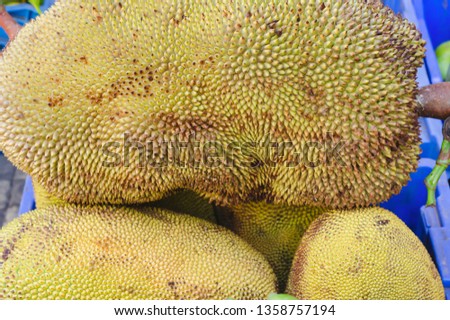  Is the tropical fruit that is obtained from the bread tree. Its pulp looks similar to bread.