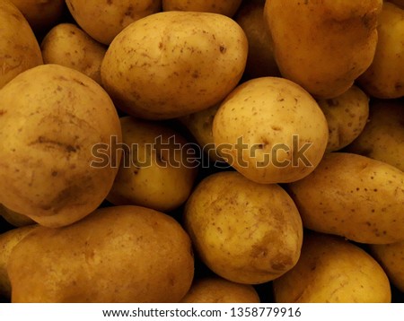 Isolated picture of many potatoes