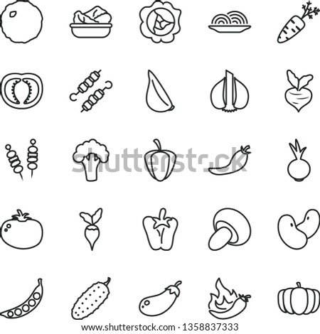 thin line vector icon set - fried vegetables on sticks vector, onion, porcini, lettuce in a plate, meat skewers, cabbage, cucumber, tomato, peper, beet, garlic, squash, half, ripe pepper, red, hot