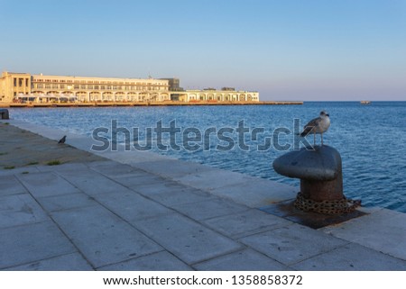 Pigeon on waterfront and building Molo Audance - Bersaglieri in background. Trieste, Italy