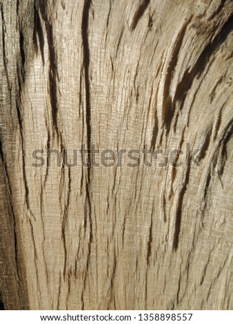 Walnut wood texture.