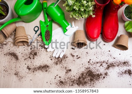 top view of gardening tools and potted plants on wooden table background