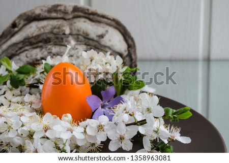 Spring background Easter holiday. Orange egg and yellow dandelion with a sprig of cherry blossoms.
