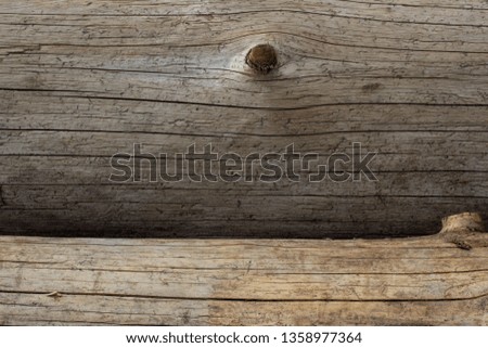 forest cracked log without bark forest texture background for design