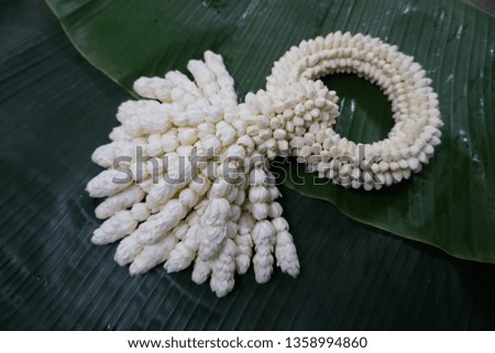Thailand Jasmine garland a symbol for mother day.  homage to a Buddha  Jasmine for Important day pay offering Buddha in Buddhism. picture for art design or add text.
