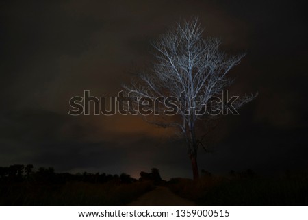 Death tree in the night with light on branch and blur sky background.