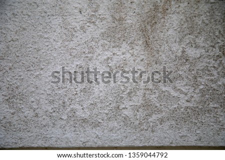 Grungy Moldy Walls Texture