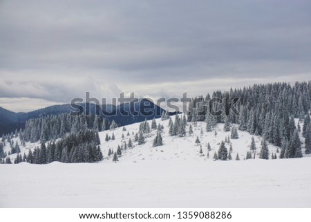 Winter day in Fundata, Transylvania, Romania, rural area