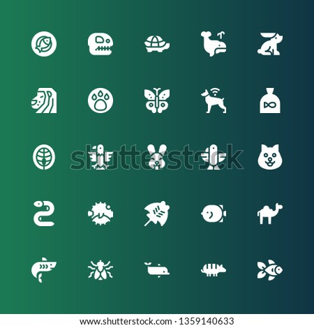 wildlife icon set. Collection of 25 filled wildlife icons included Goldfish, Armadillo, Dolphin, Fly, Shark, Camel, Fish, Manta ray, Blowfish, Eel, Dog, Eagle, Rabbit, Salmon