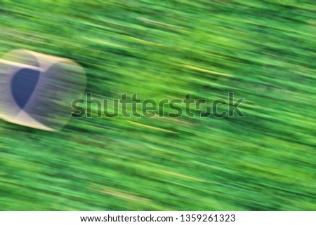 illustrated blurry heart shape sign and symbol on green grass lawn background
