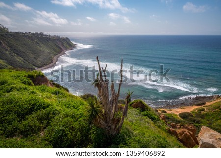 Scenic coastal view of tall cliffs of Bluff Cove covered with vegetation on a sunny spring day with  turquoise colored water and rocky beach, Blufftop Trail, Palos Verdes Estates, California