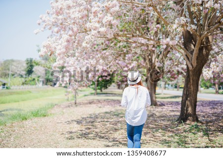 spring season with full bloom pink flower travel concept from backside of beauty asian woman enjoy with sight seeing sakura or cherry blossom with soft focus flower background