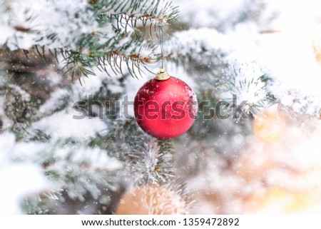 Red christmas ball covered natural snow. Branches of pine in the snow. Winter Christmas picture