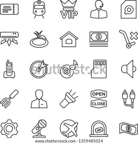 Thin Line Icon Set - train vector, vip, ticket, office, garden fork, pond, plane, cash, phone, no trolley, microphone, speaker, rca, settings, user, sd, torch, music, document search, support, house