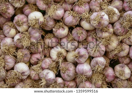 White garlic pile texture. Vitamin healthy food spice image. Spicy cooking ingredient picture.