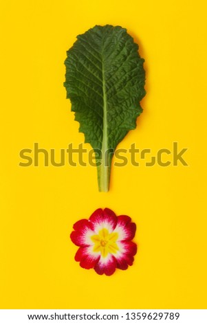 Exclamation point with primrose flower on yellow background Royalty-Free Stock Photo #1359629789