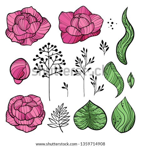 Floral Elements Set with Pink Peony Flowers, Leaves and Buds. Hand Drawn Botanical Flora for Decoration, Wedding Invitation, Patterns. Vector illustration