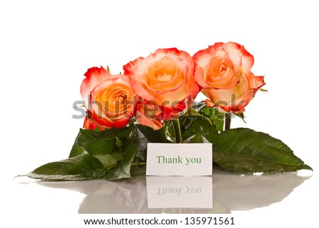 Thanks to the blooming roses on a white background