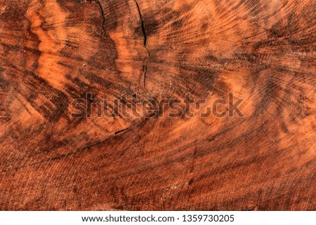 The abstract natural slab wood texture of the background. The creative concept of ecological nature. Background mahogany pattern.
