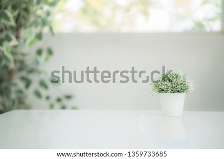 Mock up : Stylish minimalistic white table workplace with green plant. copy space for product display montage
