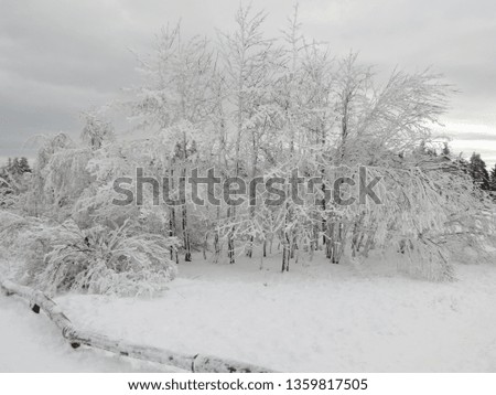 Germany Winter Photos