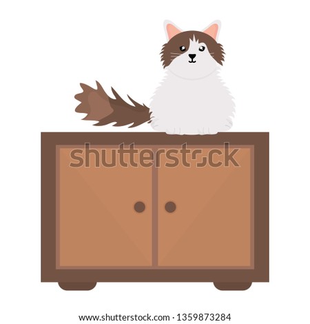 cute little cat in wooden drawer character