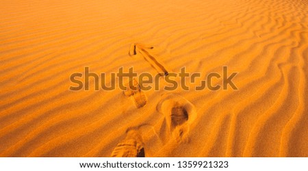 arrow in the desert sand pointing forward, leader concept