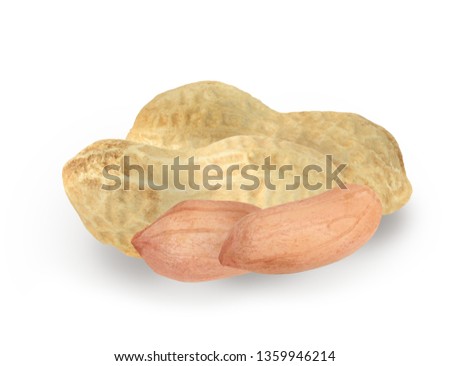  peanuts  isolated on white