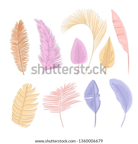 Palm leaves isolated on white background. Tropical leaves pastel collection.