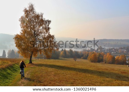 A biker going down the hill. Location: Europe, Czech Republic, South Bohemian Region, Frymburk