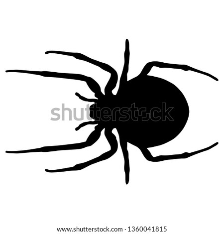 Cat Faced Spider Clipart