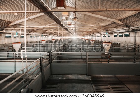 Picture of clean empty pig stall.