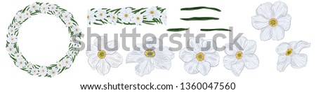 Set of elements for a botanical ornament of white narcissus flowers and green leaves. Wreath, patterned seamless brush, individual flowers.