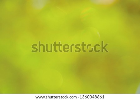 Beautiful green bokeh blurred on nature background. Glowing sun light flare. Free space for any text design. Feel fresh. Summer time.