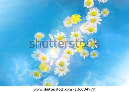 Flying flower buds and hexagonal bokeh decoration particles and also real bokeh, photographed with deep focus, over glass plates with halo circles, and like the bokeh with slight rainbow colors.
