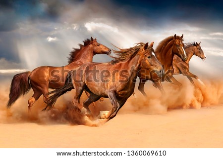 Running Horses image 