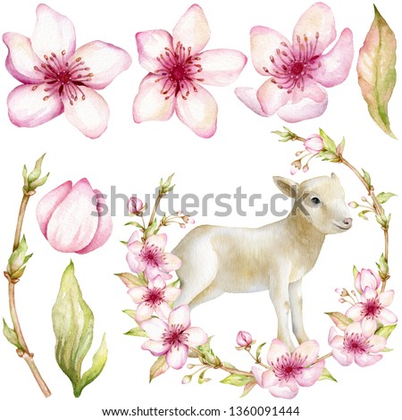 Watercolor cherry blossom clip art. Easter clipart. Cute lamb clipart. Character clip art. 