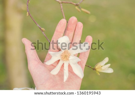 spring wedding theme with flower