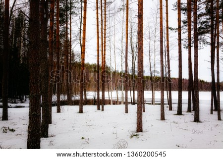 Natural landscape - forest, lake,river are under snow in spring in March