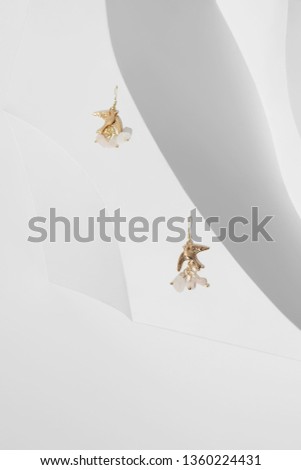 Closeup view shot of two long earrings with pendants in a view of sand swallow. There are pale pink stones as additional pendants. The set is isolated on relief platform, located on snowy background.