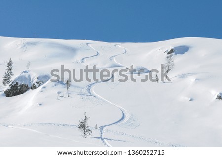 A snowboarder making a powder turn on a deep snow on a sunny morning