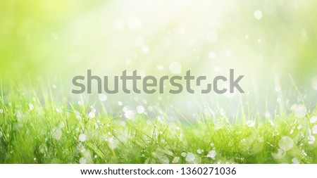 Juicy lush green grass on meadow with drops of water dew sparkle in morning light, spring summer outdoors close-up, copy space, wide format. Beautiful artistic image of purity and freshness of nature. Royalty-Free Stock Photo #1360271036