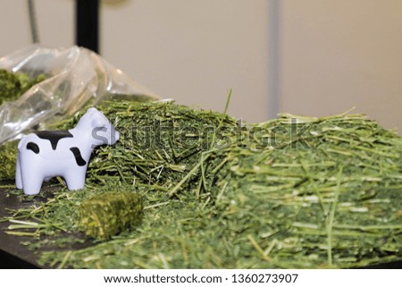 cow eating grass in beautifull cartoon image 