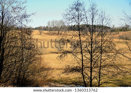 Spring landscape with trees in the foreground                            