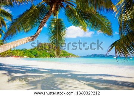 Vacation summer holidays background wallpaper - sunny tropical exotic Caribbean paradise beach with white sand in Seychelles Praslin island Thailand style with palms and rocks