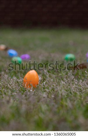 Easter Egg hunt time