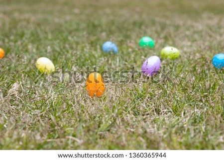 Easter Egg Hunt season